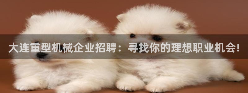 富联娱乐官网入口下载