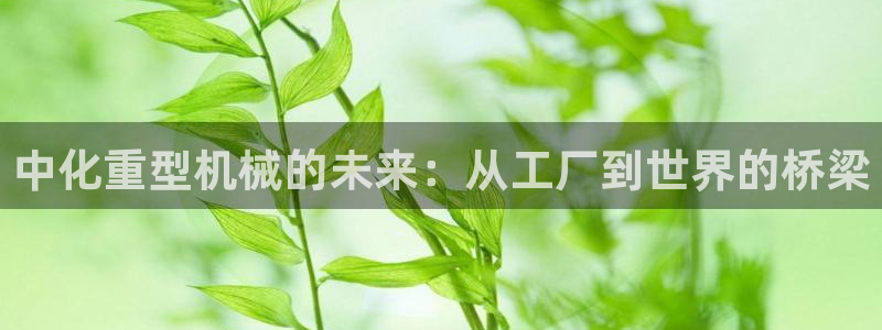 富联2娱乐招商测判官333OO