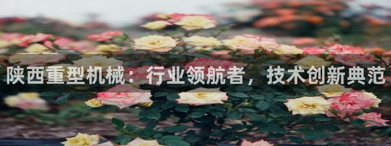 富联娱乐招商包判官333OO