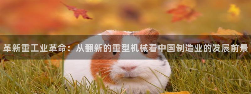富联娱乐主营业务范围