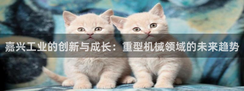 富联2娱乐首页下载安装