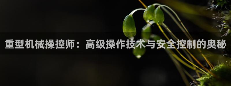 富联娱乐官网首页下载