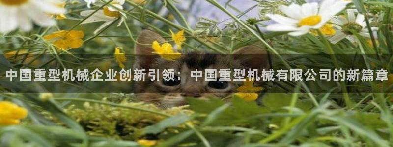 富联娱乐解究7276O