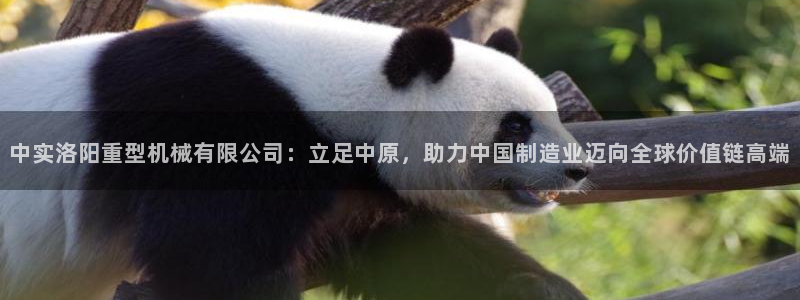 富联娱乐总裁简介图片高清
