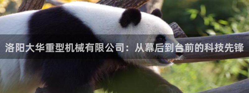 富联娱乐真的吗