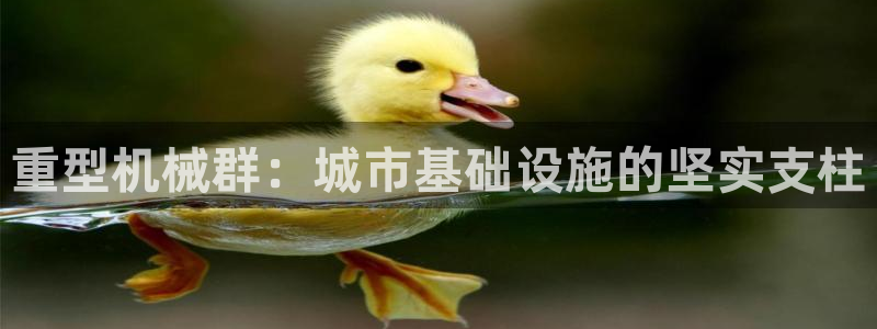 富联娱乐主管后原判官333OO