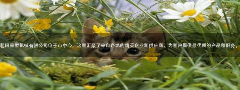 富联娱乐招商主管部门