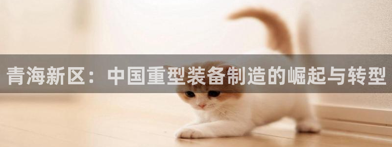 富联2娱乐元哥微博号