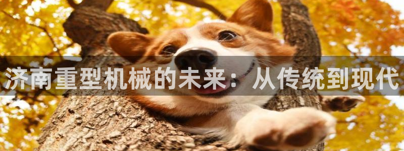 富联娱乐结7O935