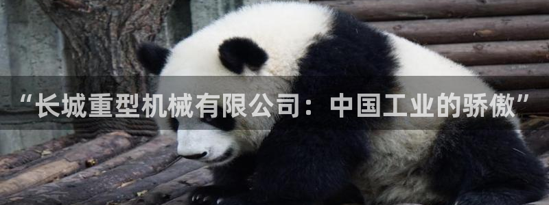 富联娱乐代理怎么样啊