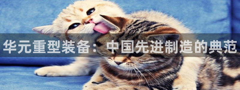 富联娱乐系37997筘