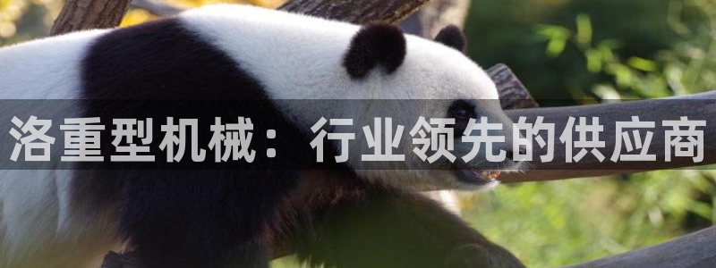 富联娱乐主管是谁