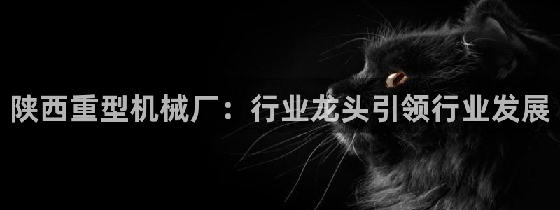 富联娱乐总裁简介资料