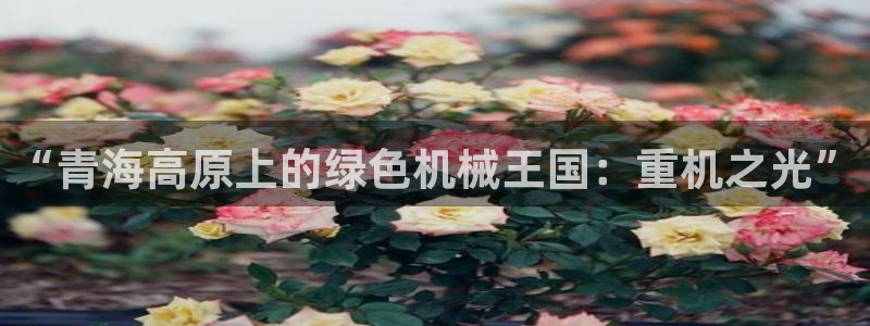 富联娱乐是资金盘吗