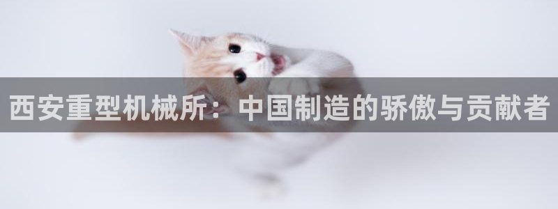 富联娱乐官网入口app