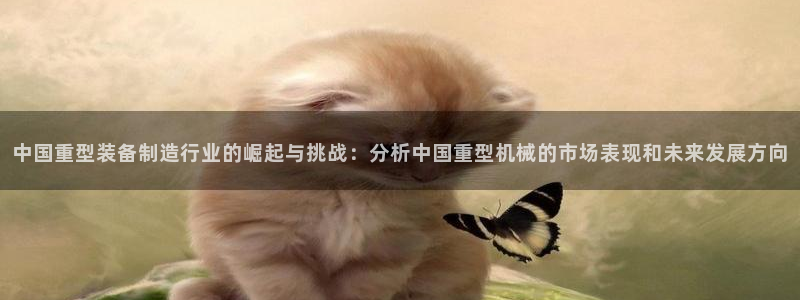 富联娱乐总裁简介资料