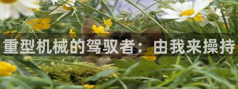 富联娱乐怎么样知乎