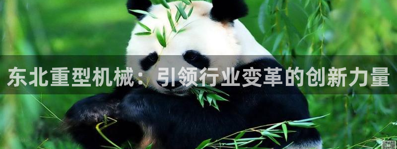 富联2娱乐资讯官网