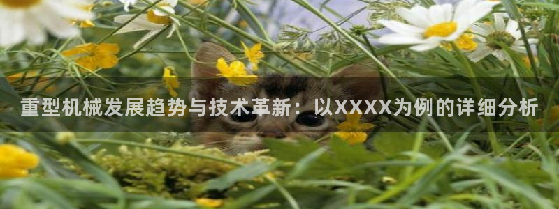 富联娱乐代理是谁做的