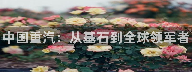 富联娱乐解酒威判官333OO