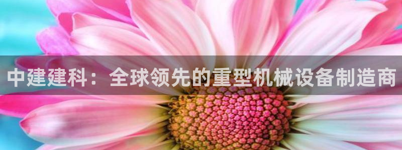 富联娱乐分红怎么样啊