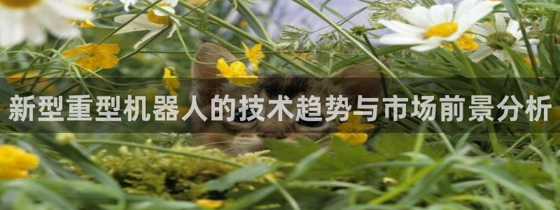 富联娱乐开户条件是什么